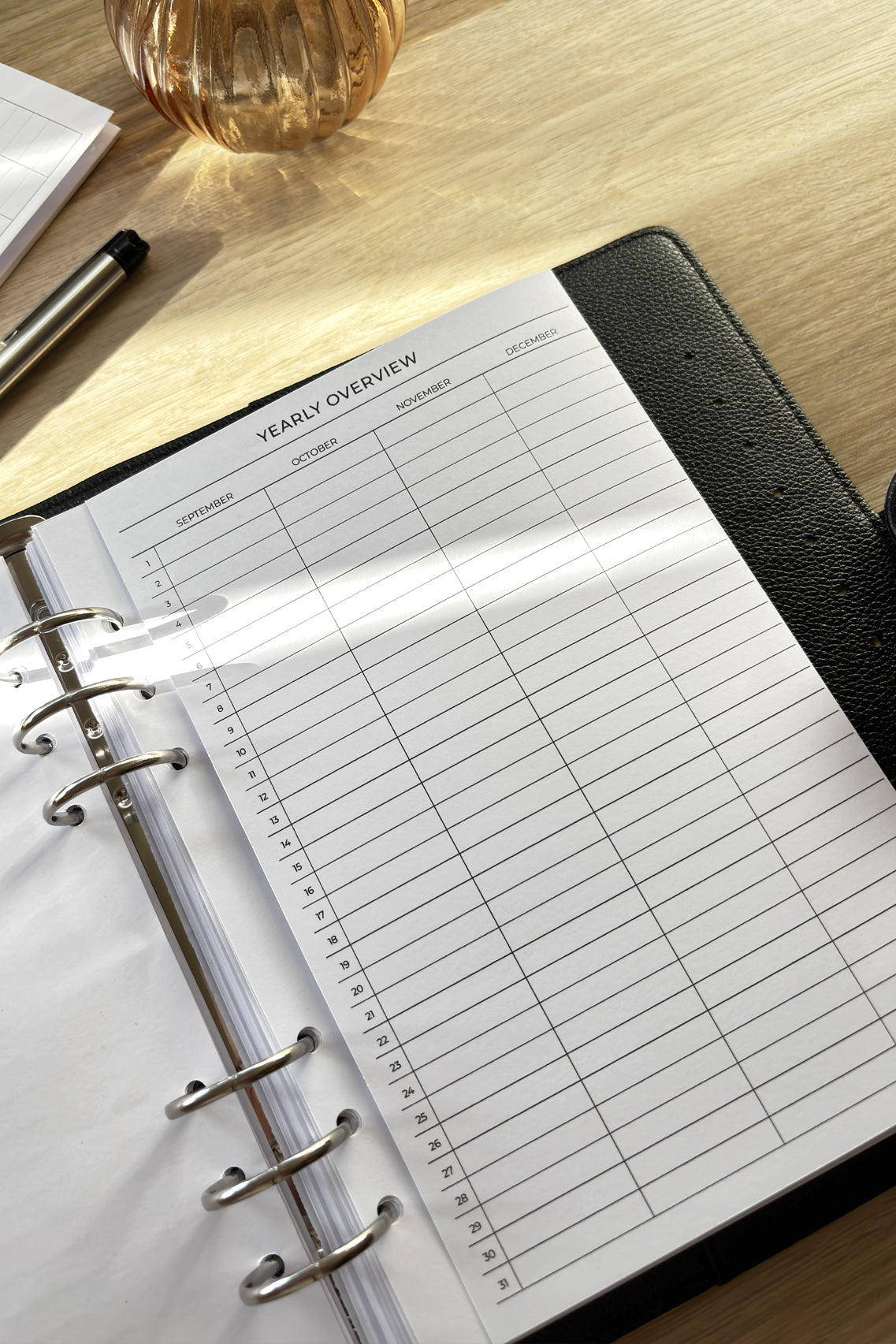 Yearly Overview Fold Out Planner Insert